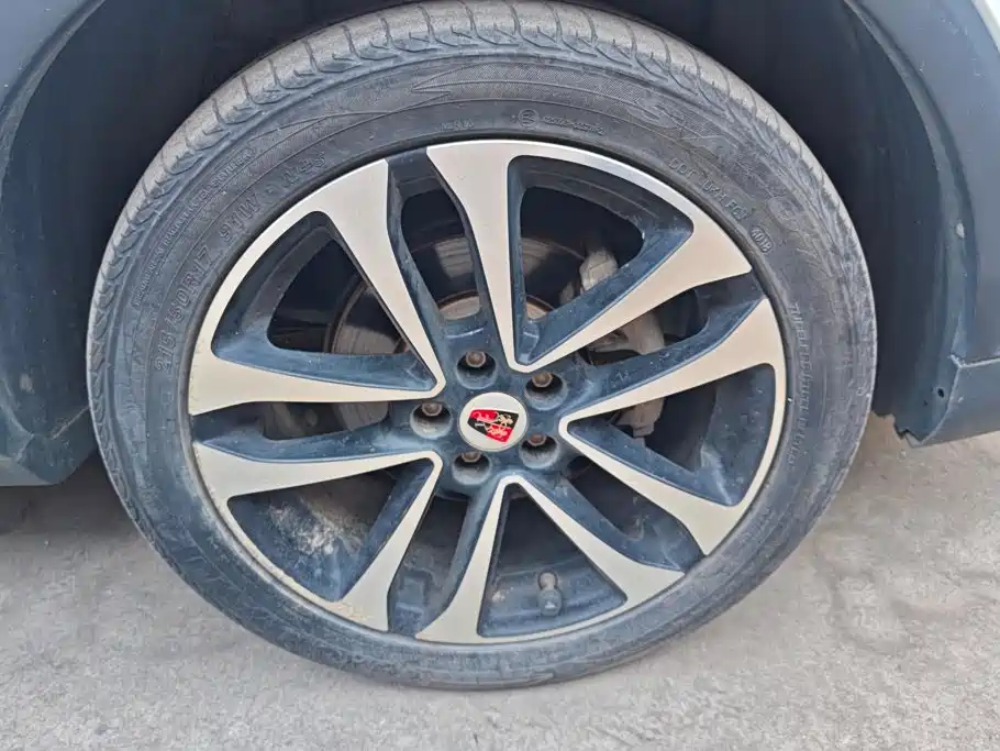 Фото 6 - Roewe RX3
