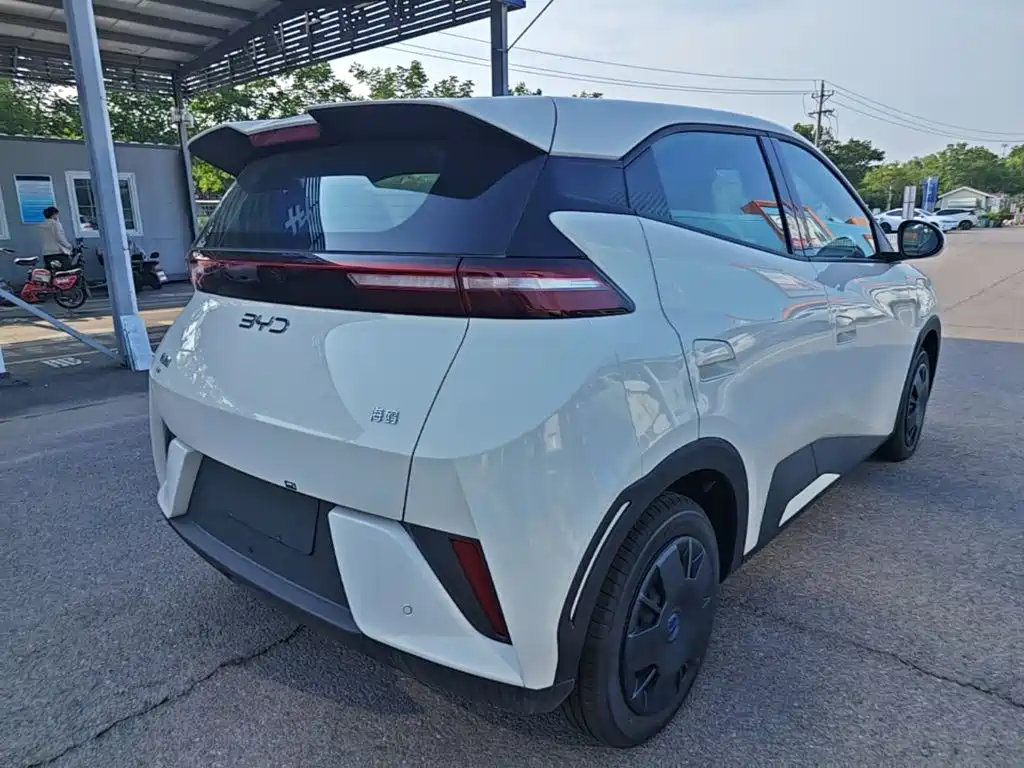 BYD Seagull 2026 2025 305km Vitality