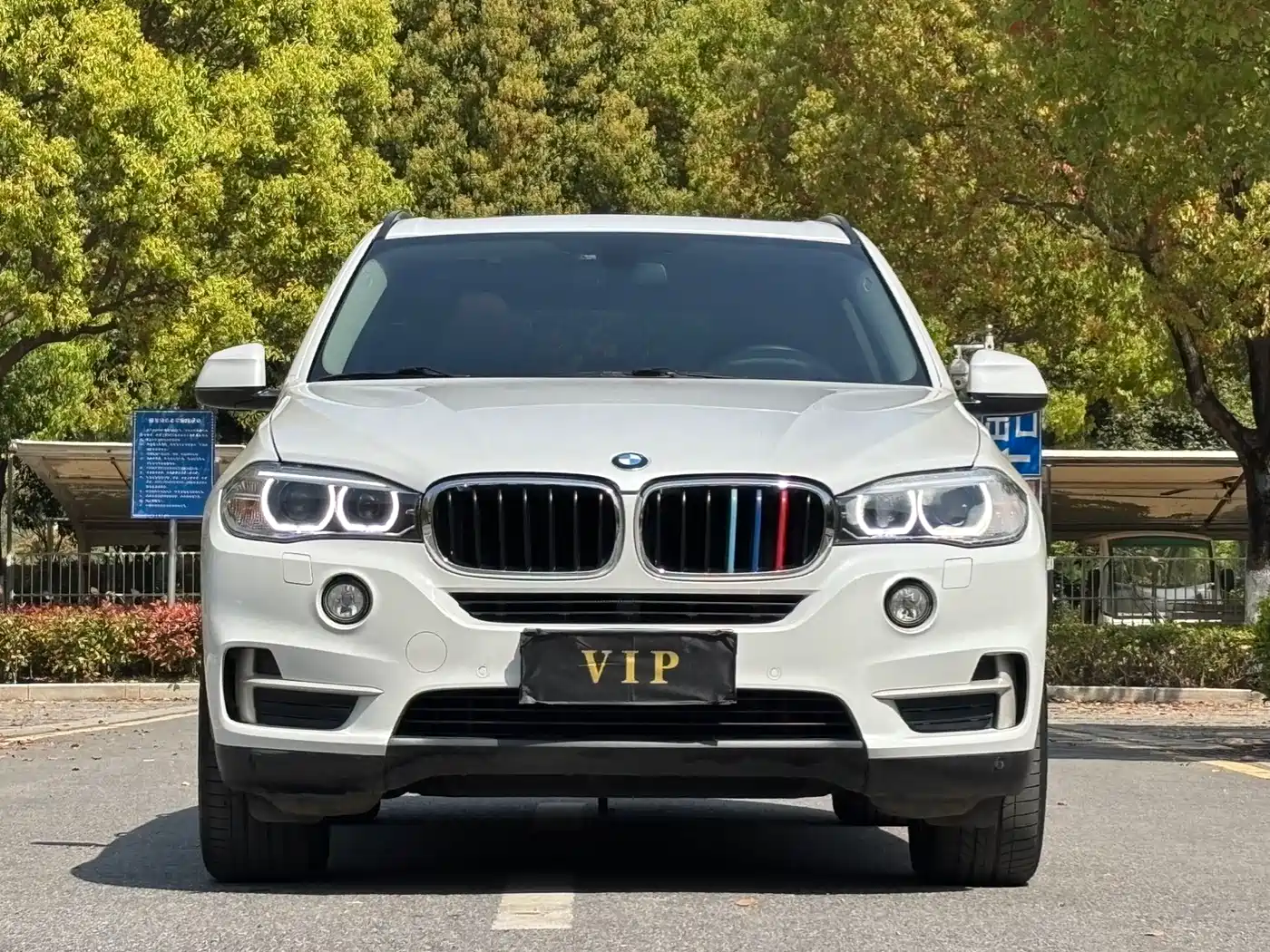 BMW X5 (Import) 2014 xDrive35i Elegance фото 2