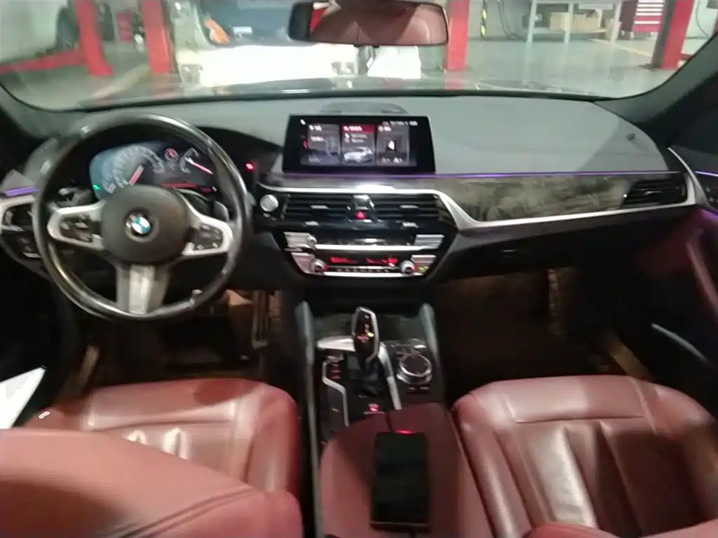 BMW 5 Series 2019 530Li Leading M Sport Package фото 6