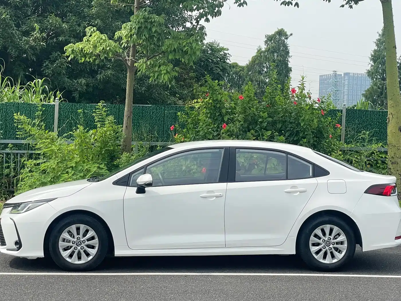 Photo 6 - Toyota Corolla