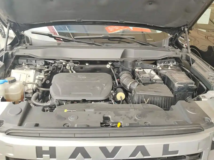 Haval Big Dog 2024 1.5T DCT Border Collie Edition фото 10