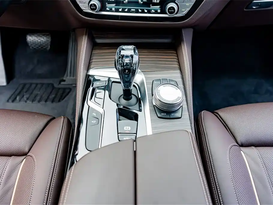 BMW 5 Series 2020 530Li Premium Luxury Package фото 15