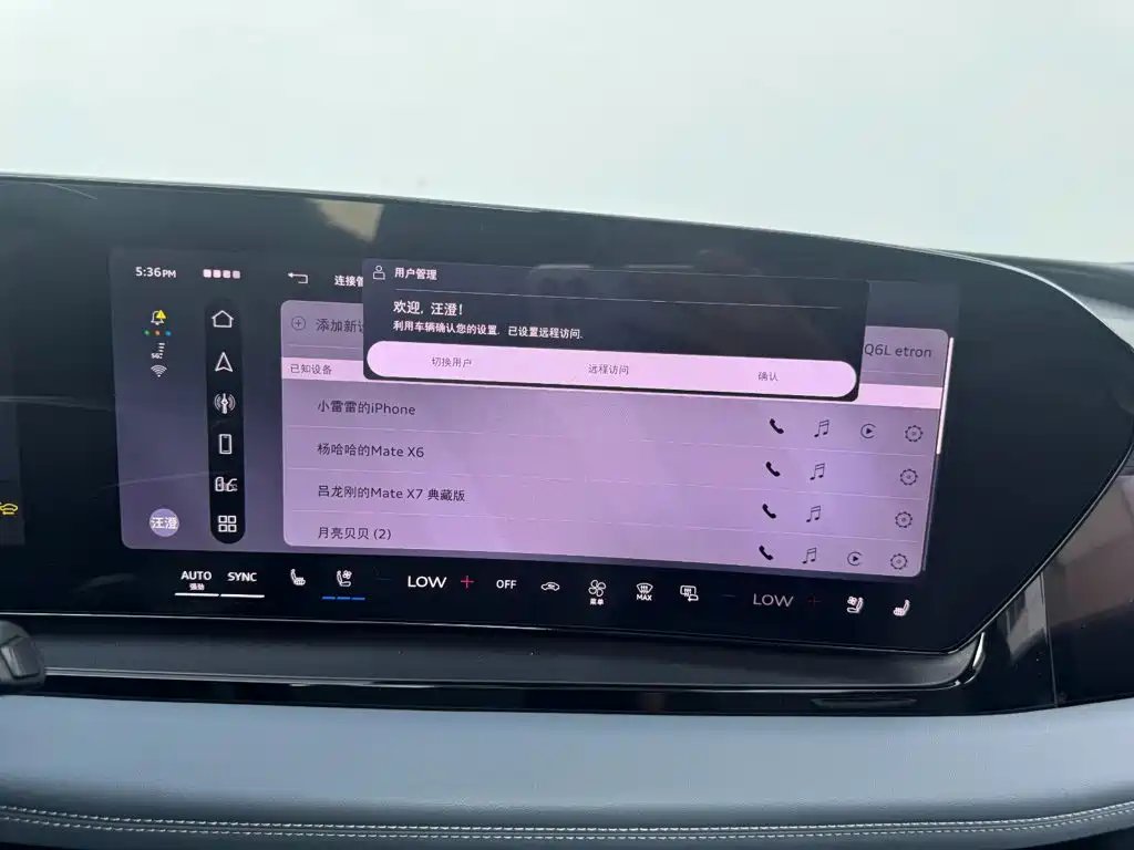 Audi Q6L e-tron 2025 2025 Model Pioneer Edition