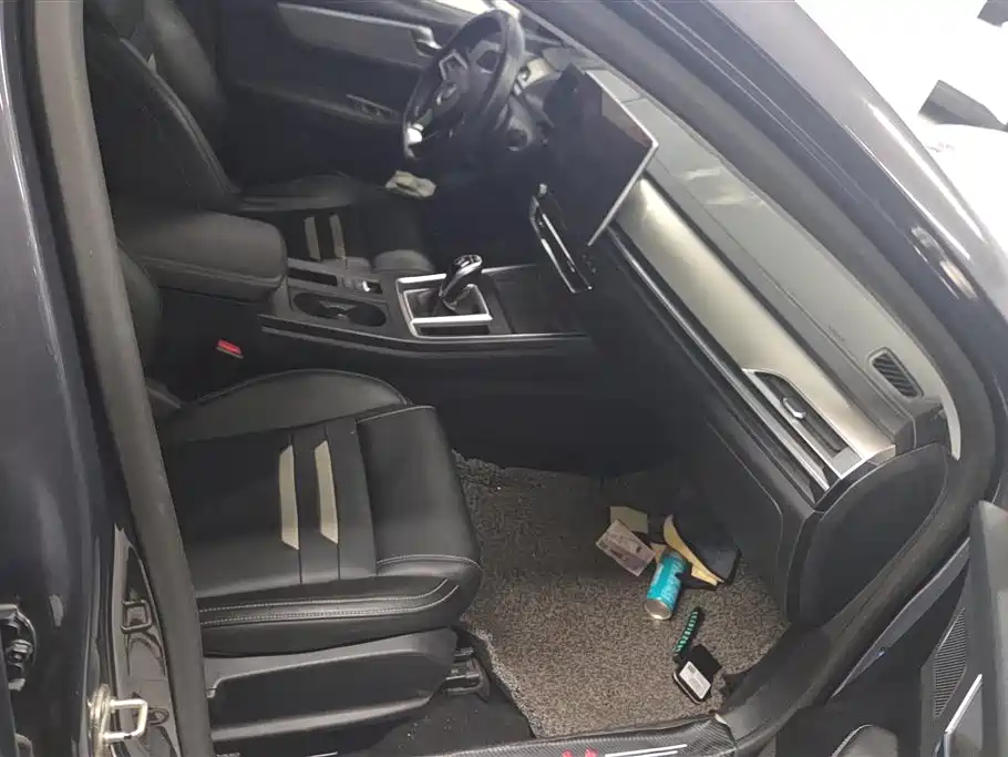 BYD Qin Pro 2018 1.5TI Automatic Smart Connected Dynamic Edition фото 8