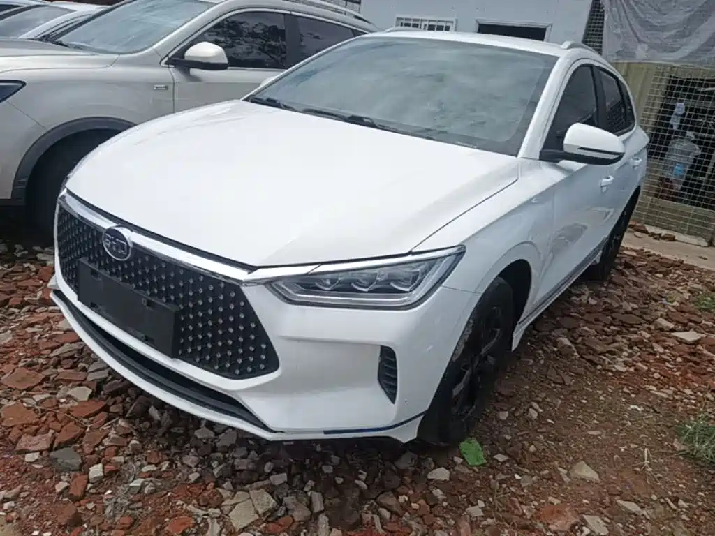 BYD e2 2020 2021 Comfort Model