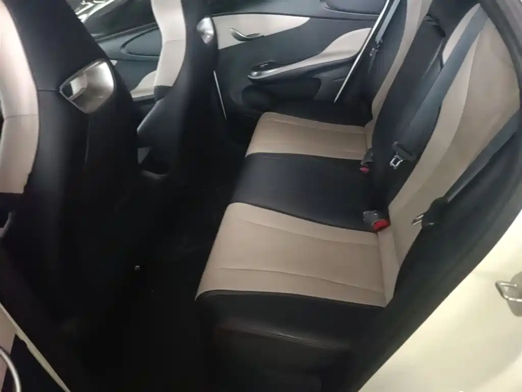 BYD Dolphin 2023 420km Fashion Edition фото 17
