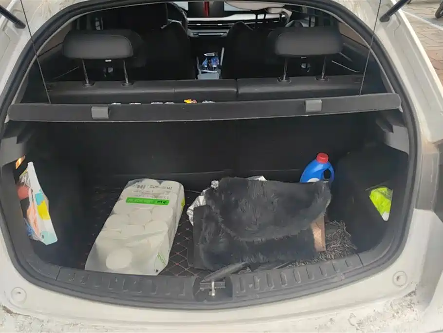 GEELY AUTOMOBILE VISION X3