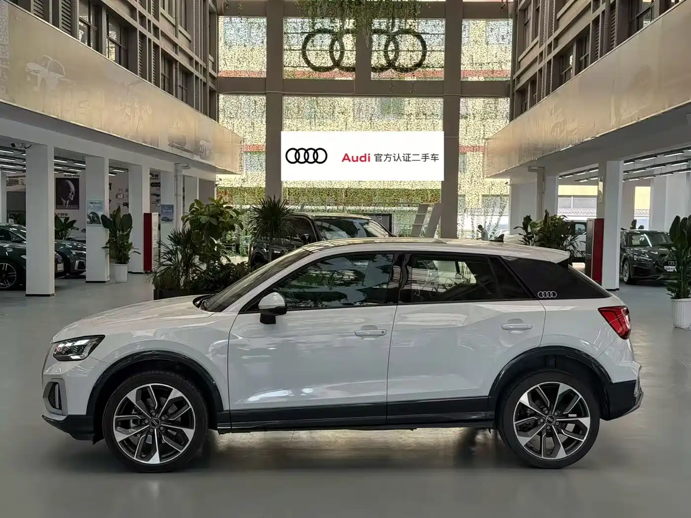 Audi Q2L 2024 Facelift 35TFSI Progressive Dynamic фото 2