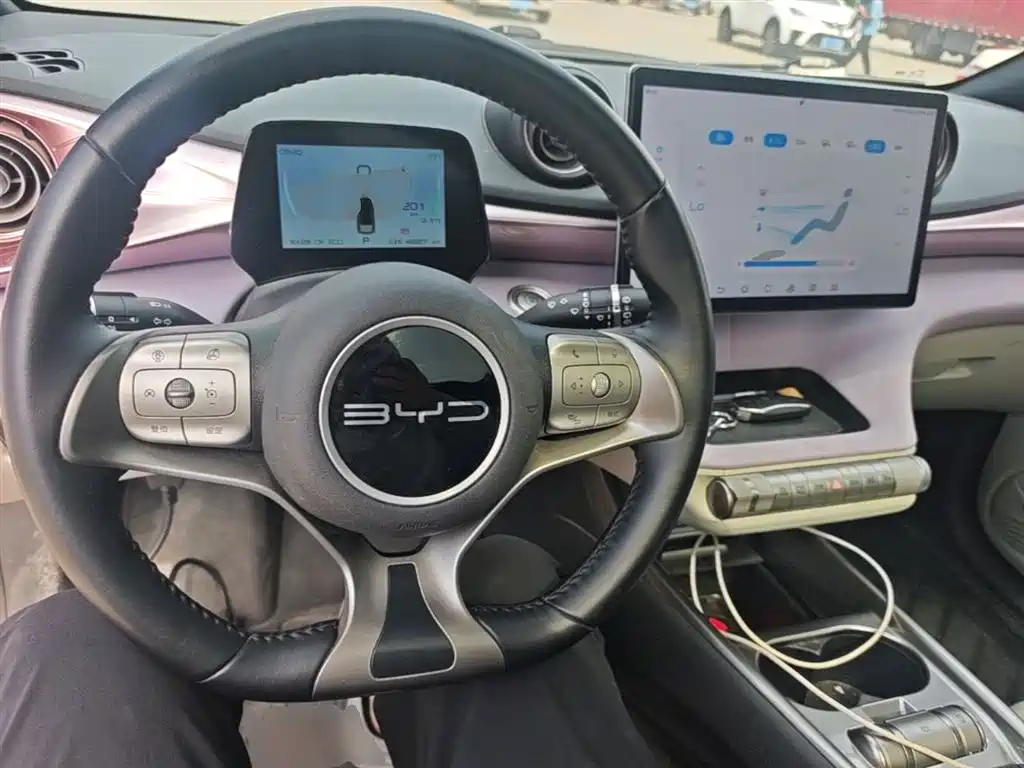 BYD Dolphin 2023 420km Fashion Edition фото 10