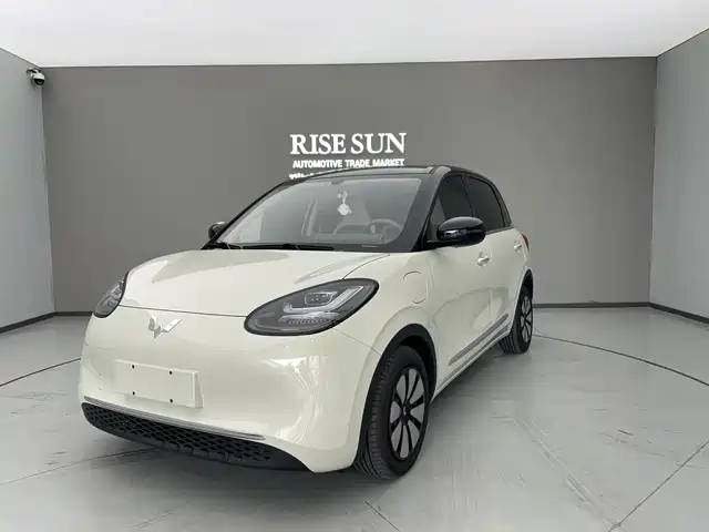 WULING WULING BINGGUO