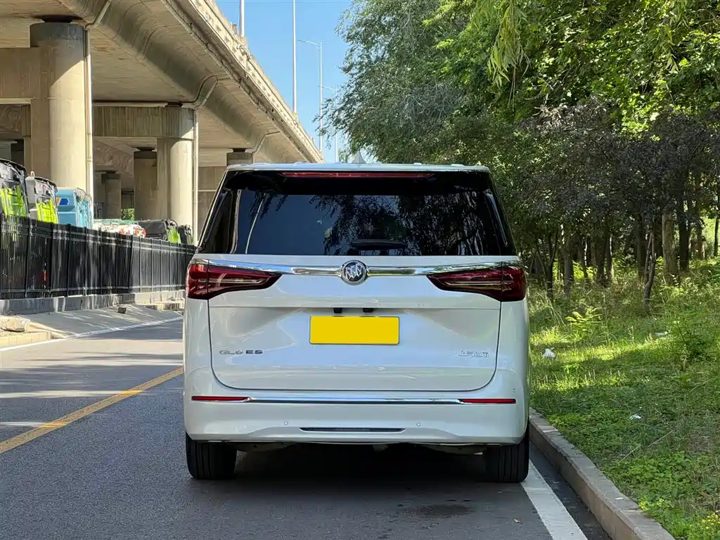 Buick GL8 2023 ES Landmaster Exclusive фото 4