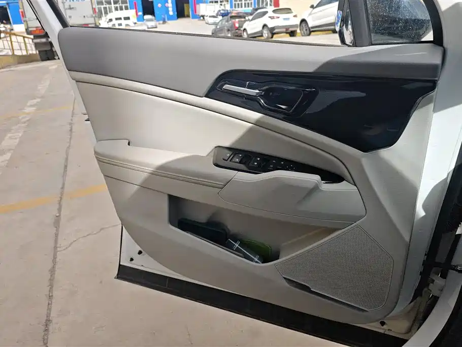 KIA LION PLATINUM EXPANDS THE WORLD