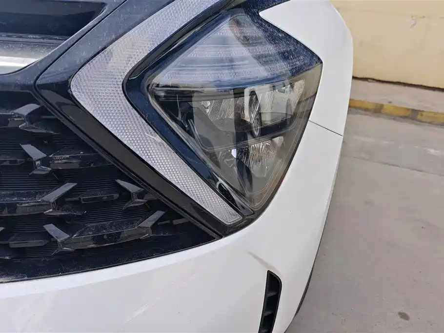 KIA LION PLATINUM EXPANDS THE WORLD