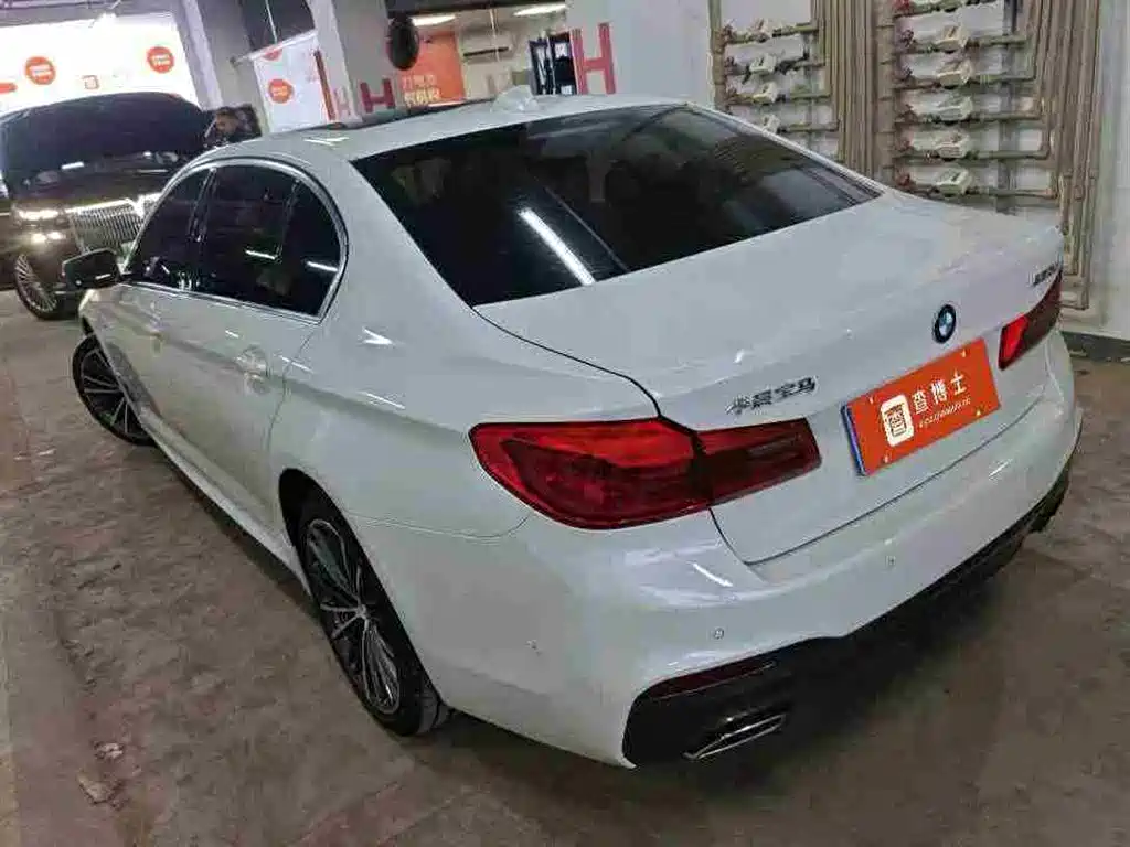 BMW 5 Series 2020 530Li Exclusive M Sport Package фото 9