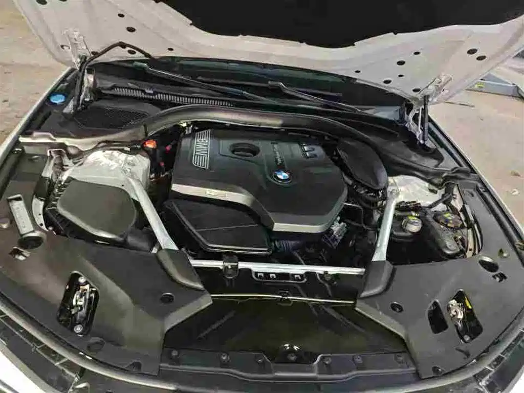 BMW 5 Series 2020 530Li Exclusive M Sport Package фото 8