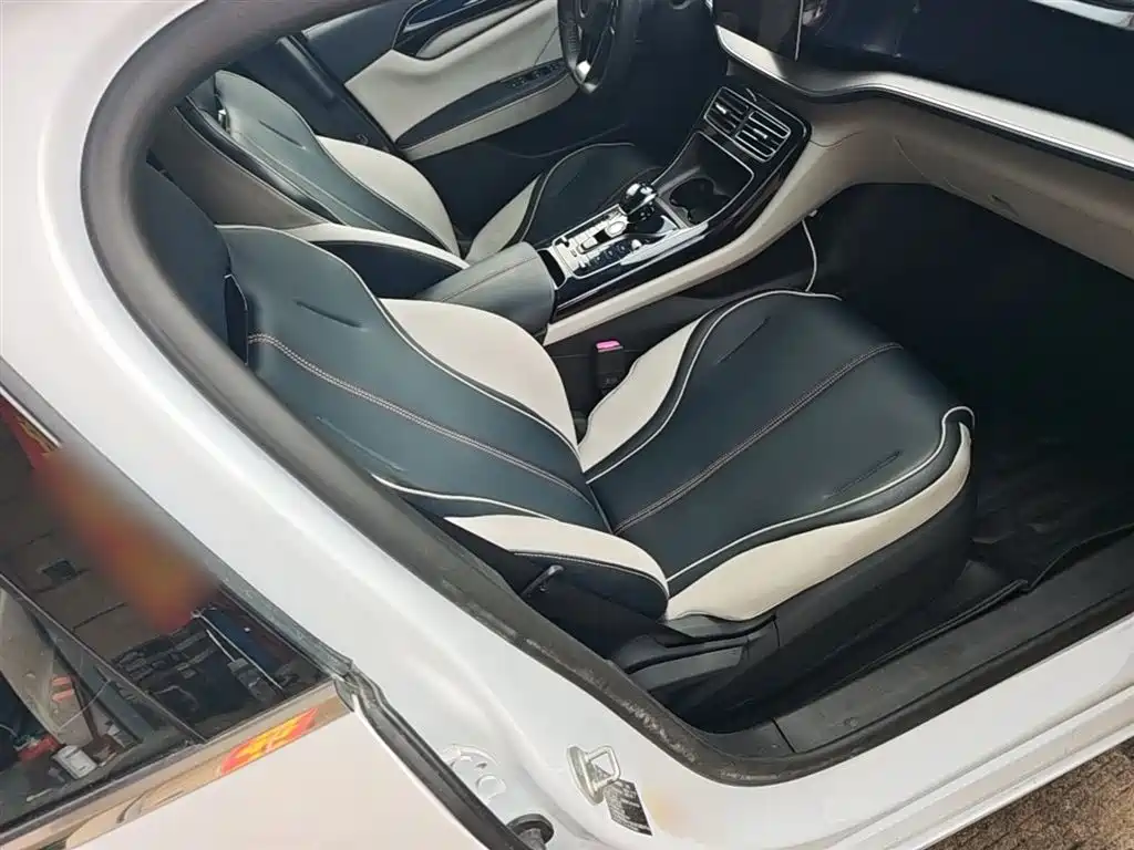 BYD Qin PLUS 2021 DM-i 55KM Flagship фото 25