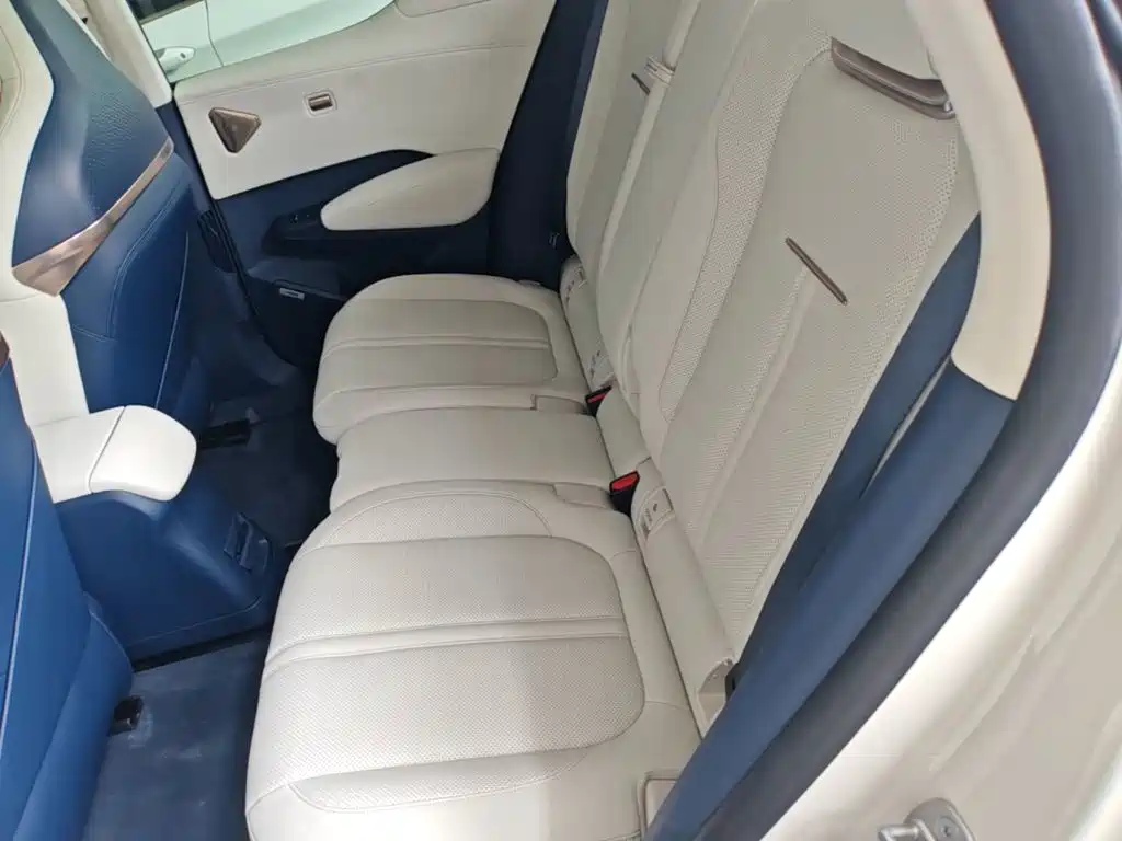 ZEEKR X 2023 2023 AWD YOU Edition 4-Seater