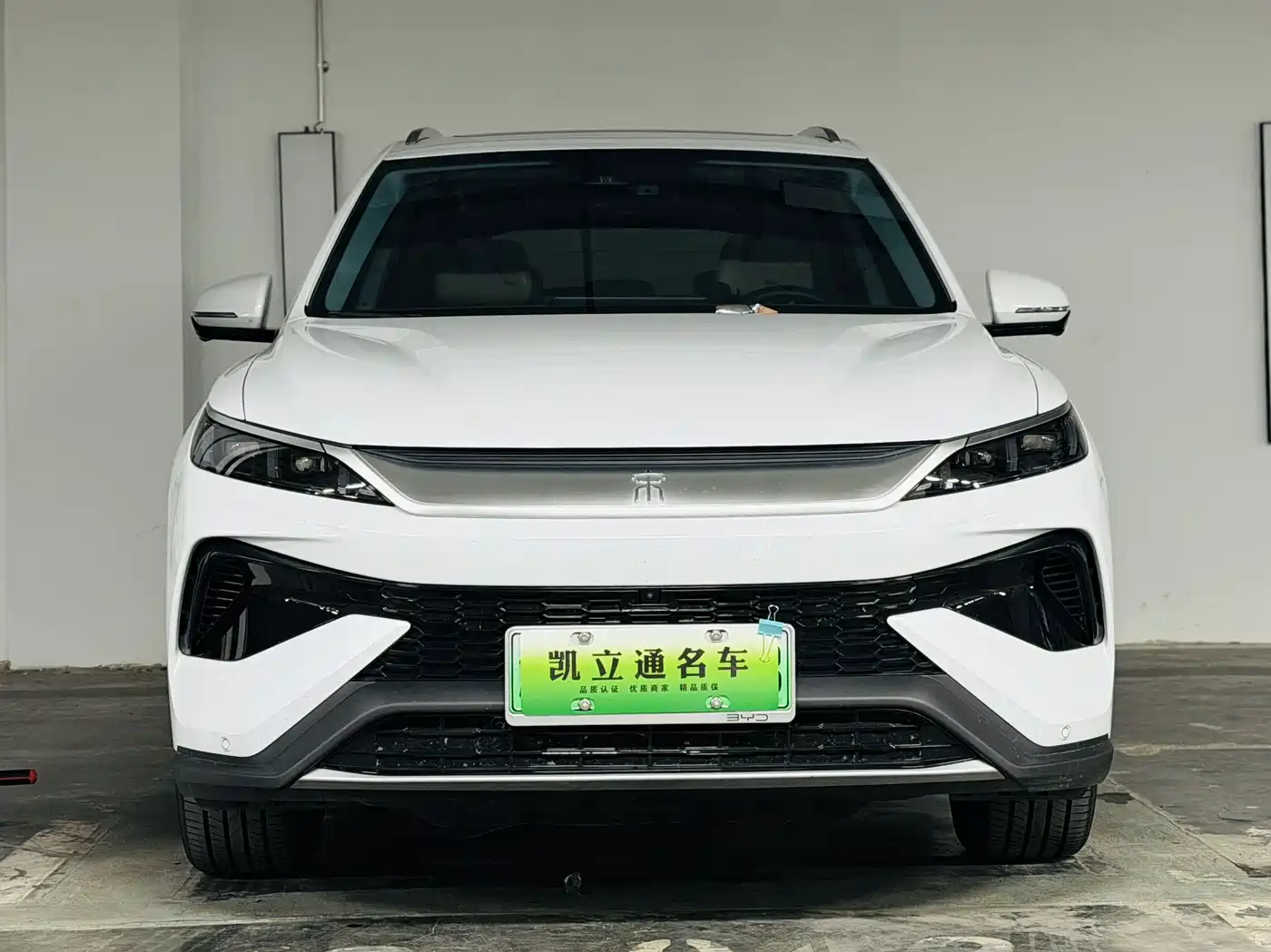 BYD Song Pro New Energy 2025 2nd Gen DM-i 115KM Excellence фото 2