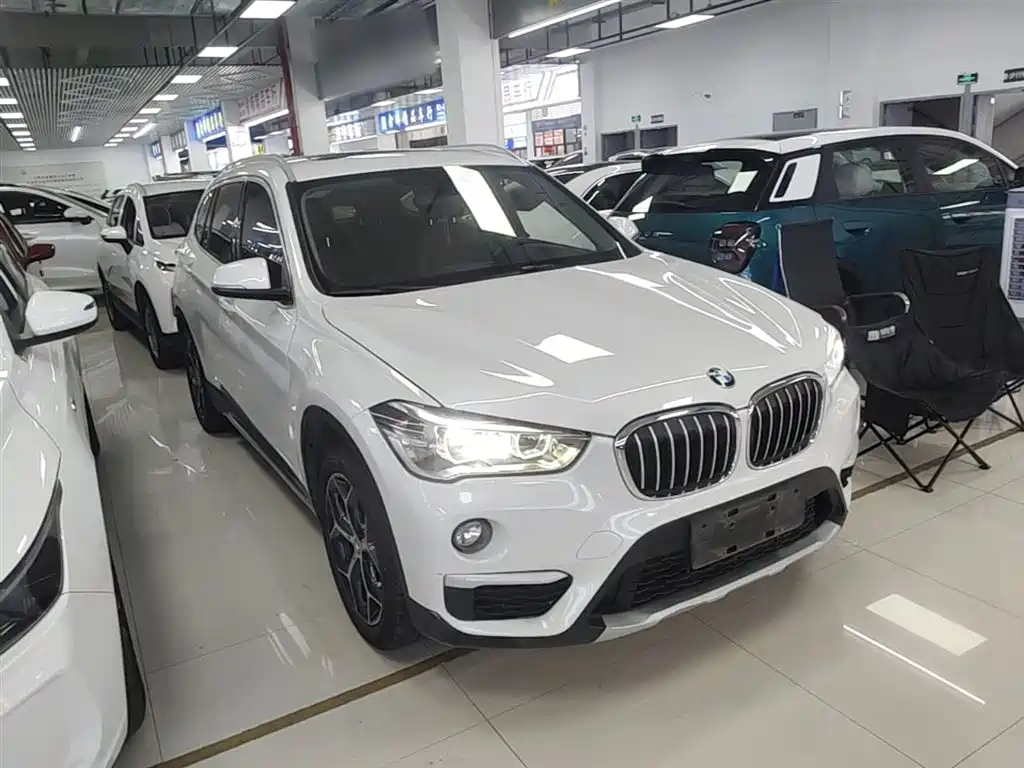 BMW X1 2019 xDrive20Li Premium Model фото 4