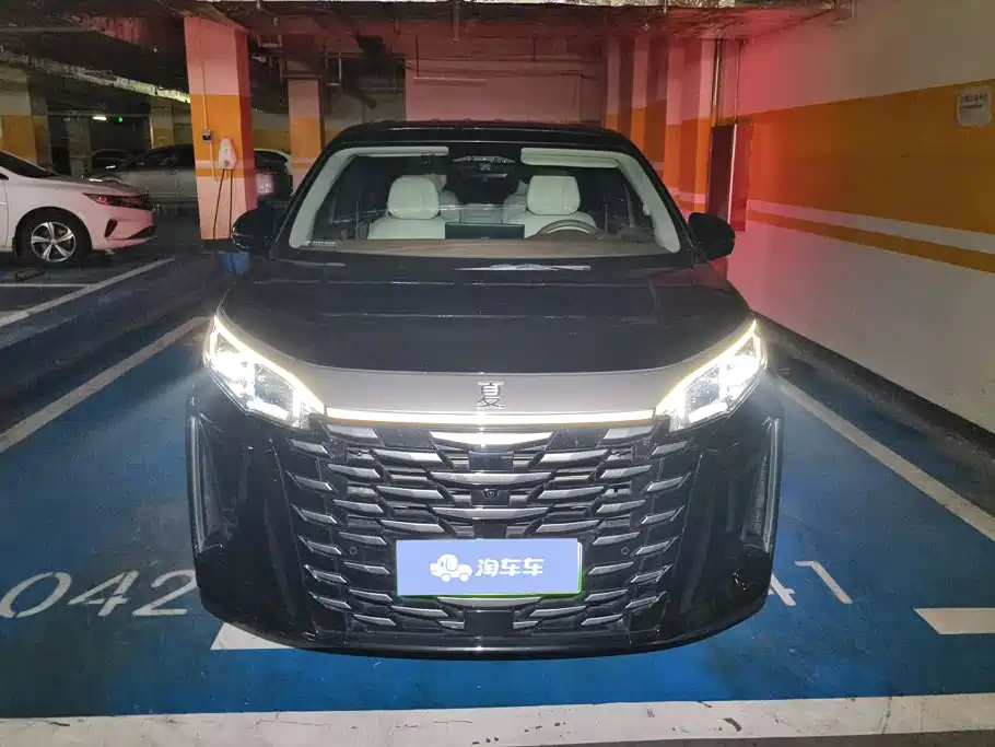 2025 BYD Xia
