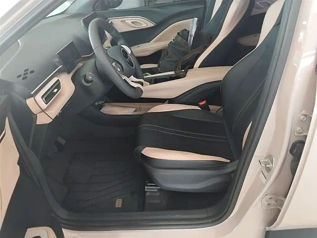 BYD Seagull 2024 Glory Edition 305km Vitality Edition фото 15