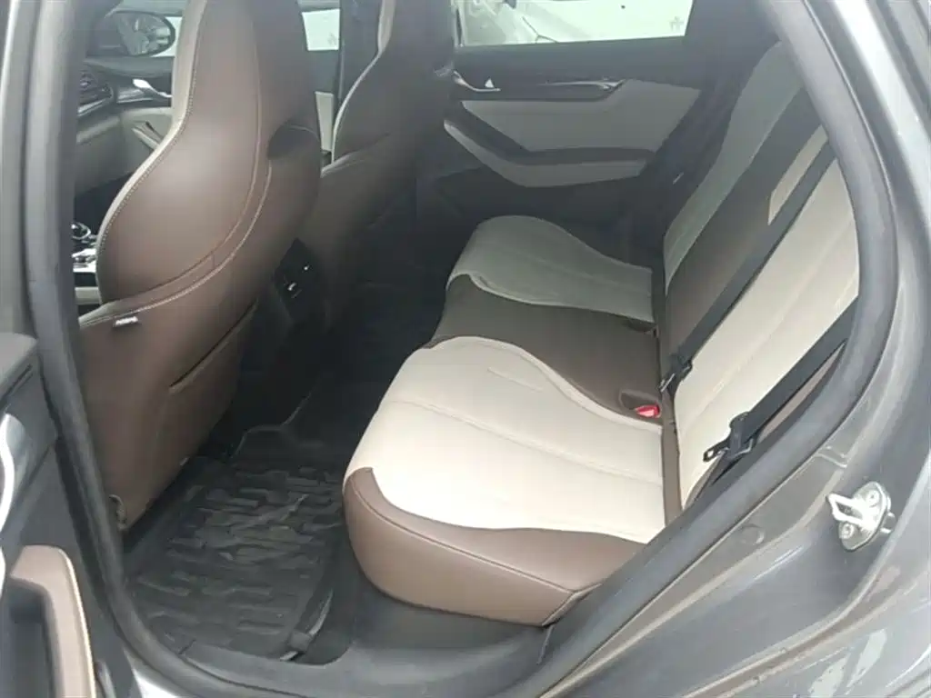 BYD Qin PLUS 2024 Glory Edition DM-i 55KM Leading фото 13