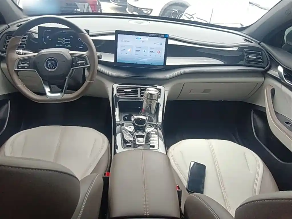 BYD Qin PLUS 2024 Glory Edition DM-i 55KM Leading фото 6