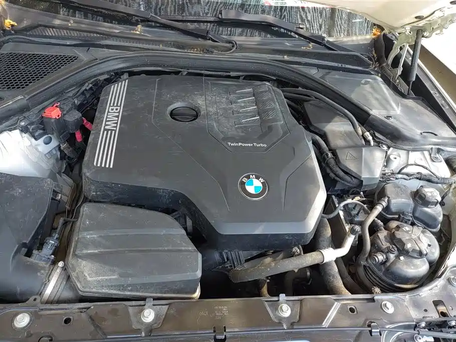 BMW 3 Series 2020 320Li M Sport Package фото 10