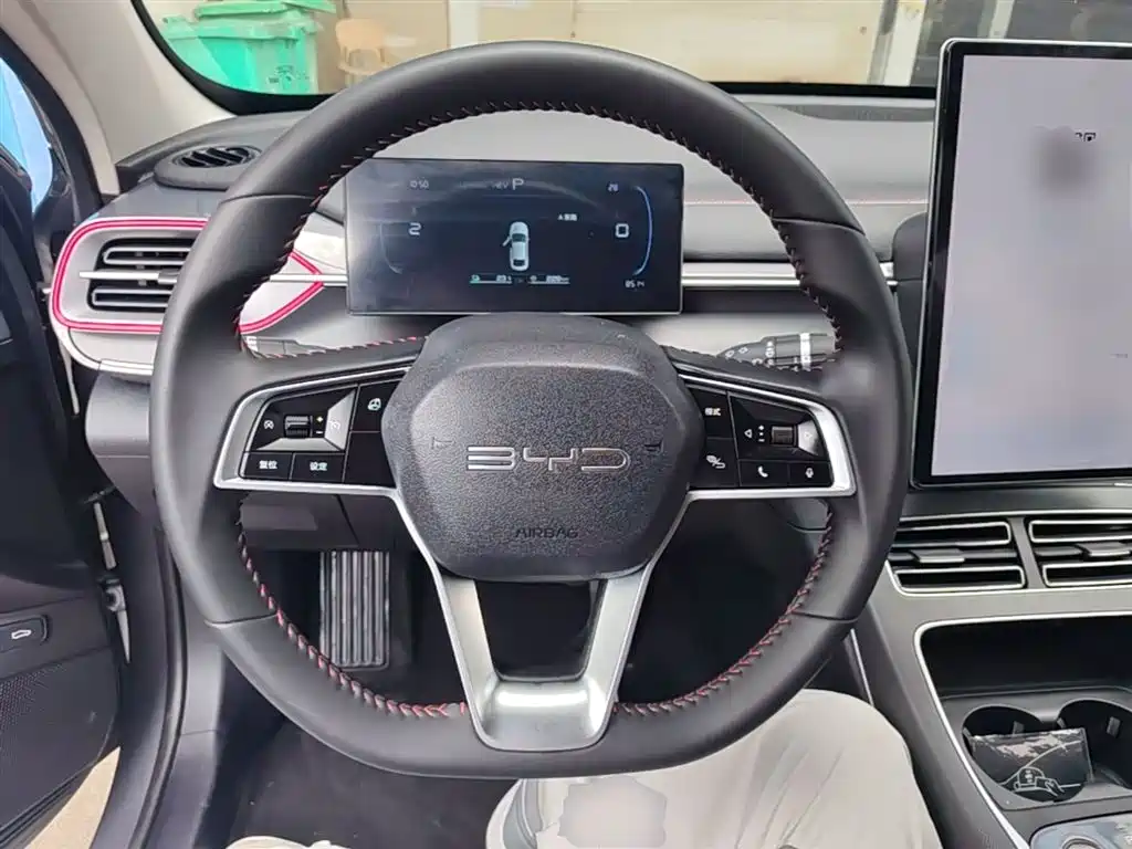 BYD Destroyer 05 2023 Champion Edition DM-i 55KM Luxury фото 11