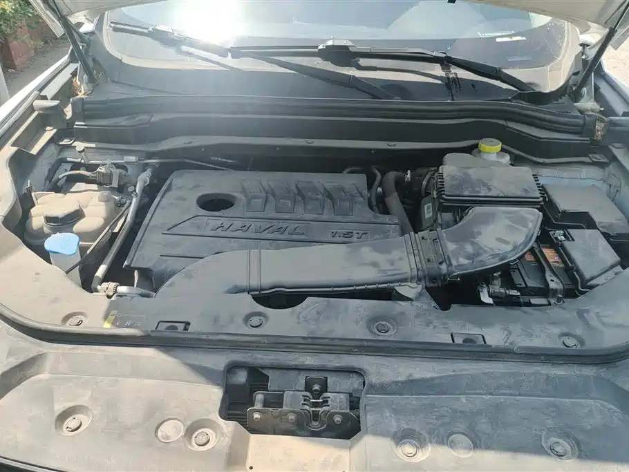 Haval H6 2021 Model National Trend Edition 1.5T Auto Champion фото 10