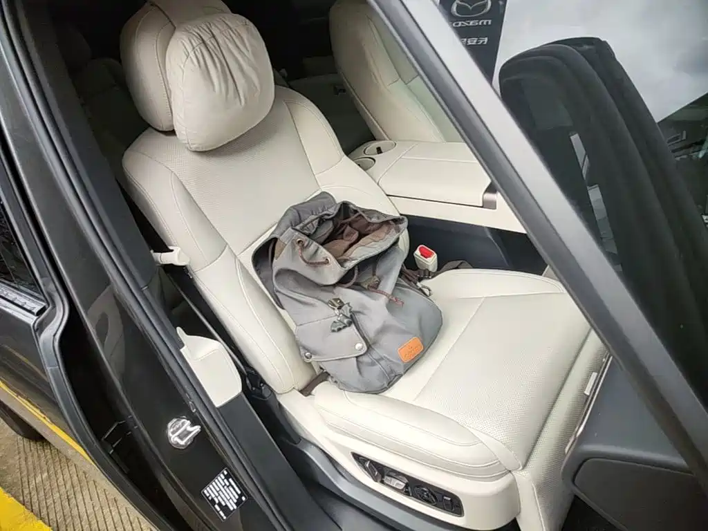 Li Auto MEGA 2025 2025 Model Home Family Special Edition