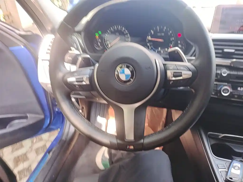 BMW 3 Series 2018 320Li Leading M Sport Package фото 11