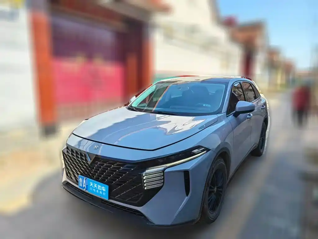 Venucia Big V 2021 260T Idol Edition