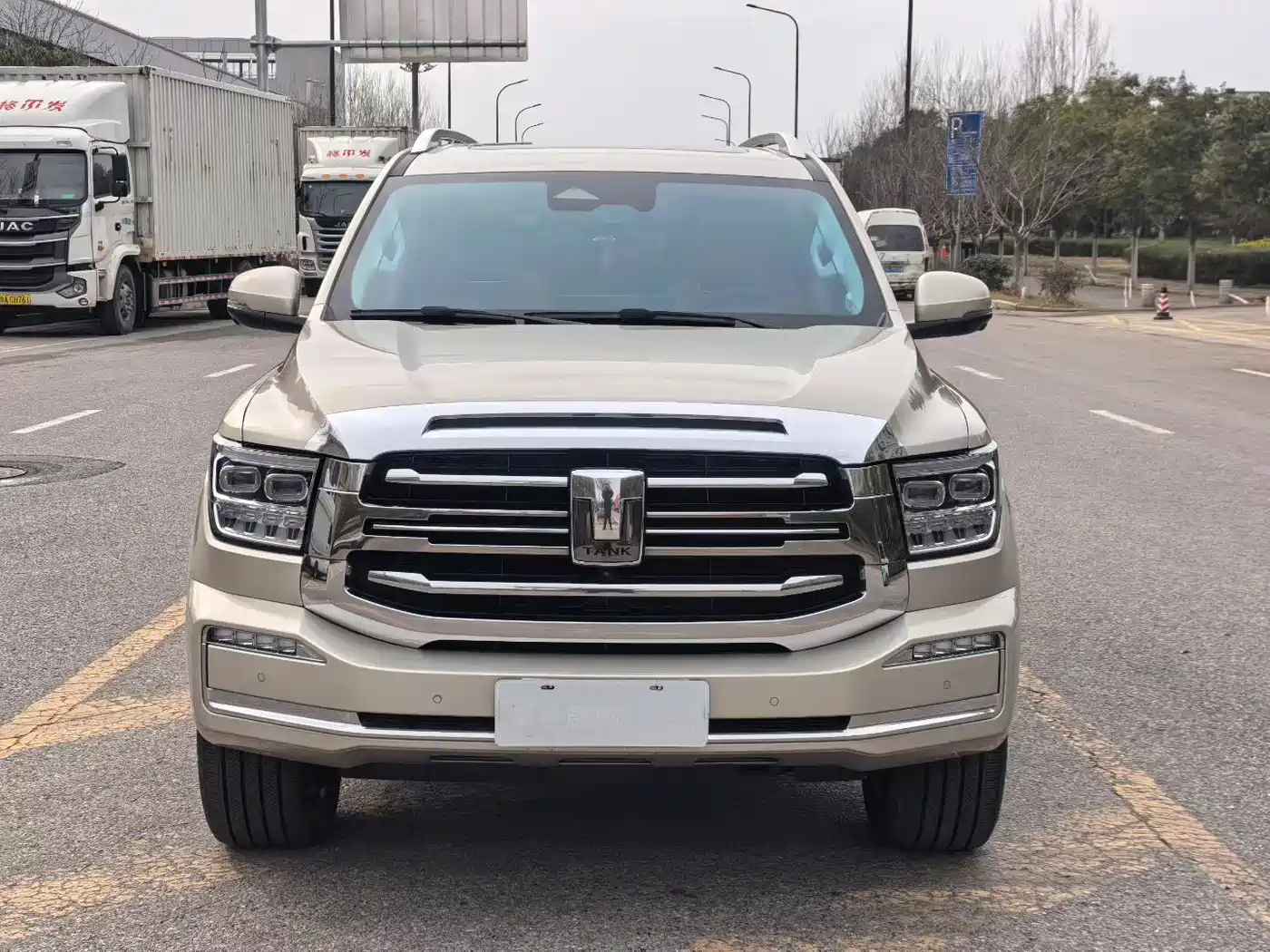 Tank 500 2022 3.0T Sport Edition Zaojing 5-Seater фото 2