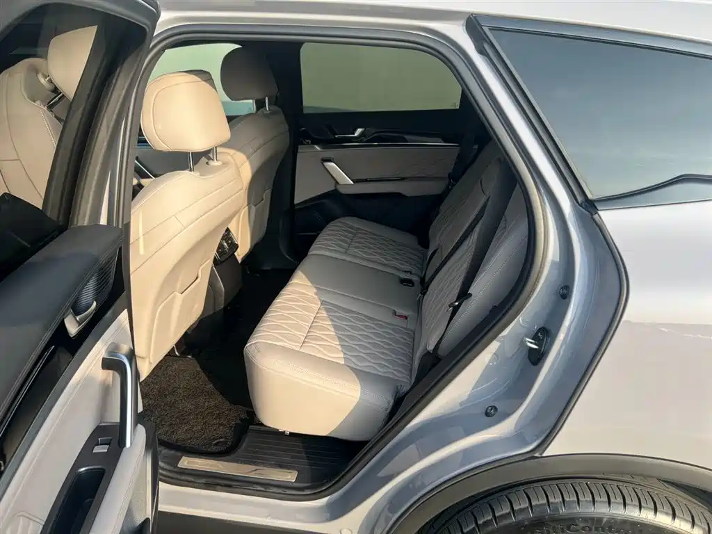 BYD Tang New Energy 2025 Smart Driving Edition DM-i 115KM Premium фото 8