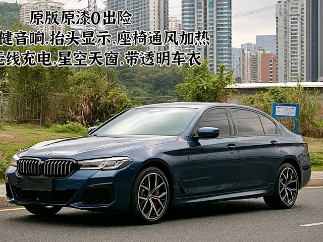BMW 5 SERIES