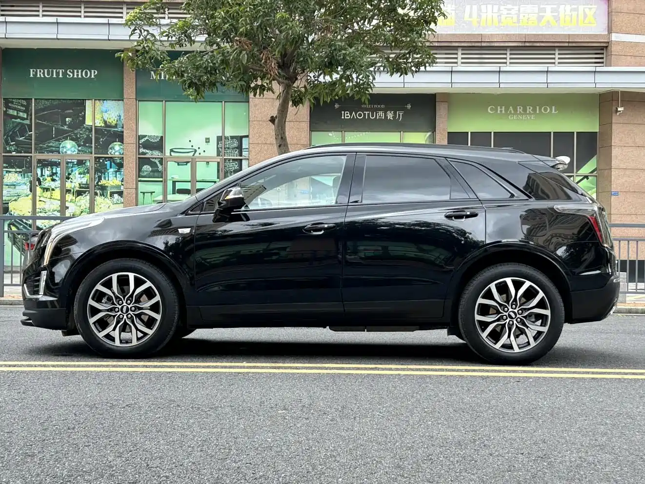 Cadillac XT5 2023 2022 2.0T AWD Luxury (Hummingbird Edition)