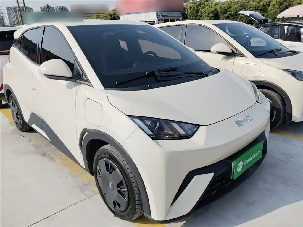 BYD Seagull 2024 Glory Edition 305km Vitality Edition фото 4