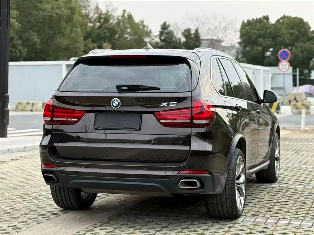 BMW X5 (Import) 2017 xDrive35i Elegance фото 4