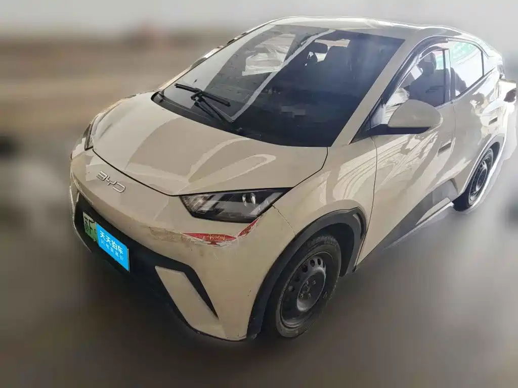 BYD Seagull 2023 Vitality Edition