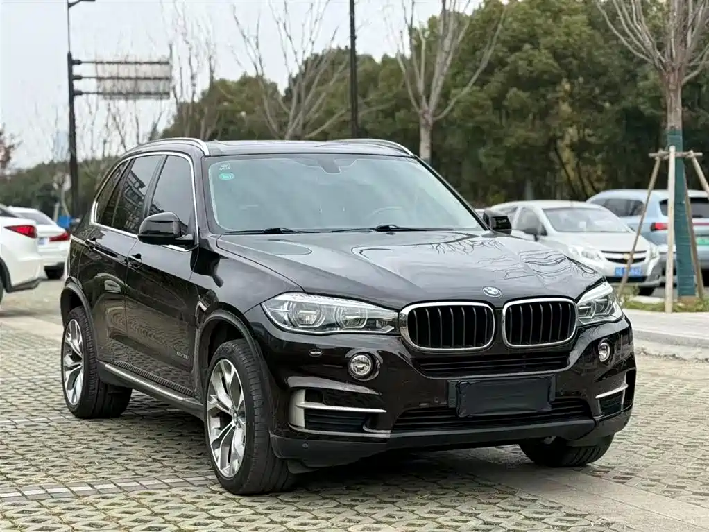 BMW X5 (Import) 2017 xDrive35i Elegance фото 3