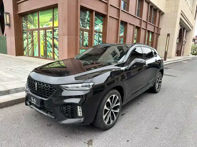 WEI PAI WEI BRAND VV7