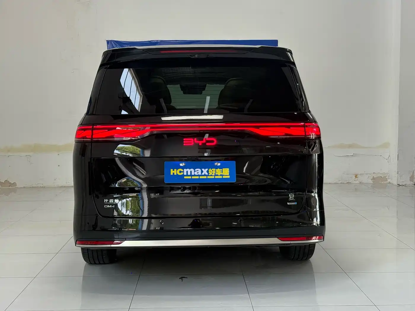 2025 BYD Xia