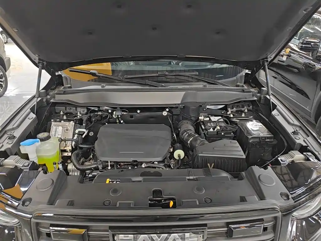 Haval Big Dog 2026 Model 1.5T High Configuration фото 20