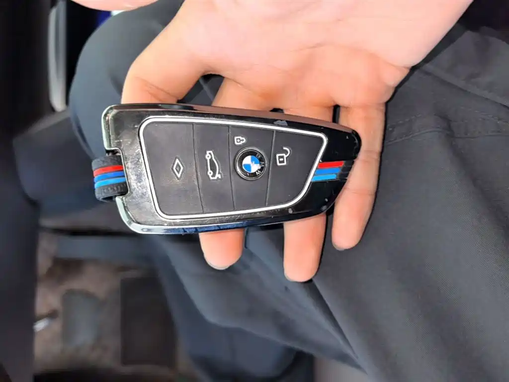 BMW 5 Series 2020 530Li Leading Luxury Package фото 9
