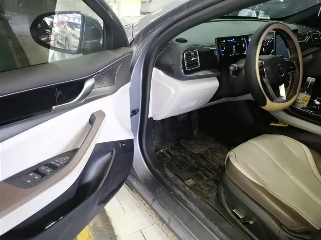 BYD Qin PLUS 2024 Glory Edition DM-i 55KM Surpass фото 16