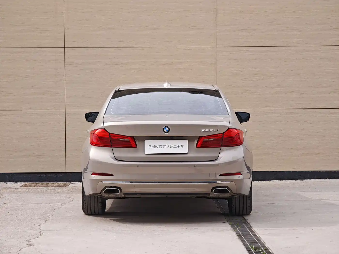 BMW 5 Series 2020 525Li Luxury Package фото 4