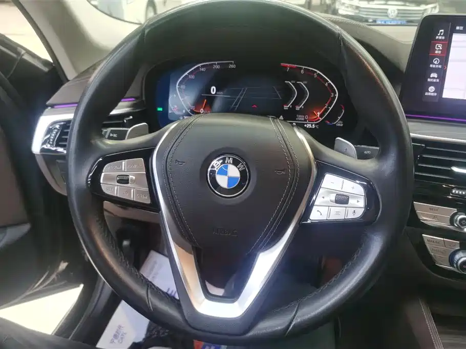 BMW 5 Series 2022 530Li xDrive Luxury Package фото 15
