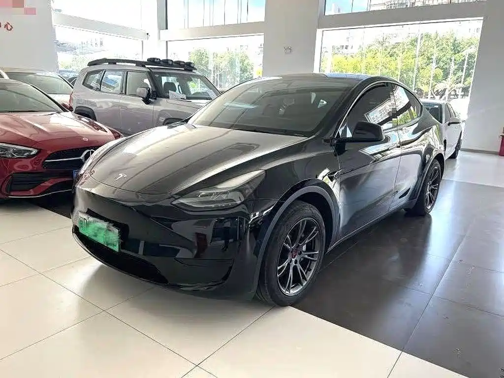 Tesla Model Y 2024 Rear-Wheel Drive Version